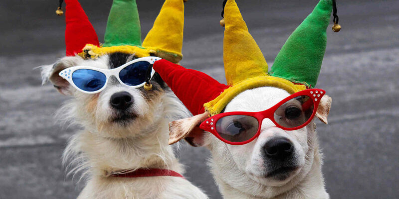 mother-daughter-dogs